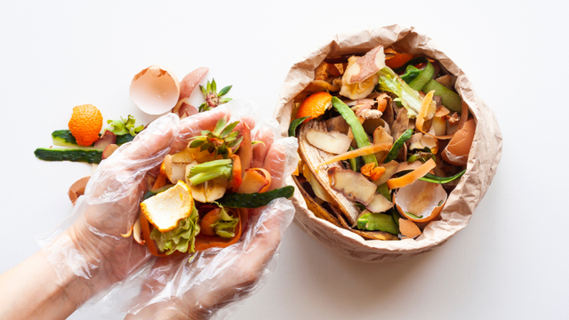 Ilustrasi sampah organik. Foto: Shutterstock