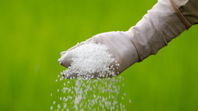 Ilustrasi pupuk urea. Foto: Shutterstock