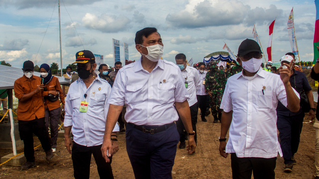 Menko Marves Luhut Binsar Pandjaitan (tengah) saat mengunjungi lokasi Food Estate di Kecamatan Dadahup, Kabupaten Kapuas, Kalimantan Tengah, Selasa (6/4). Foto: Bayu Pratama S/ANTARA FOTO