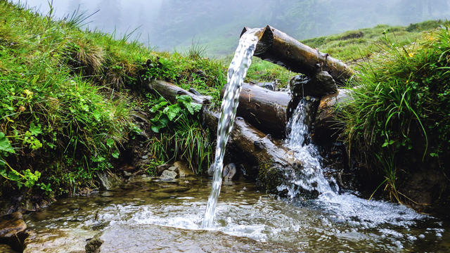 Ilustrasi sumber mata air. Foto: Shutter Stock