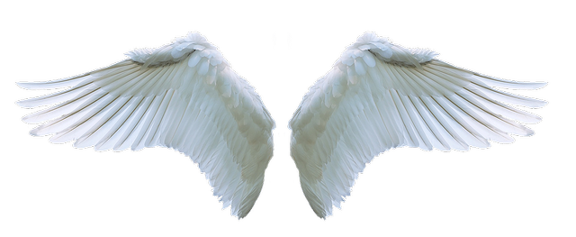 sumber: pixabay