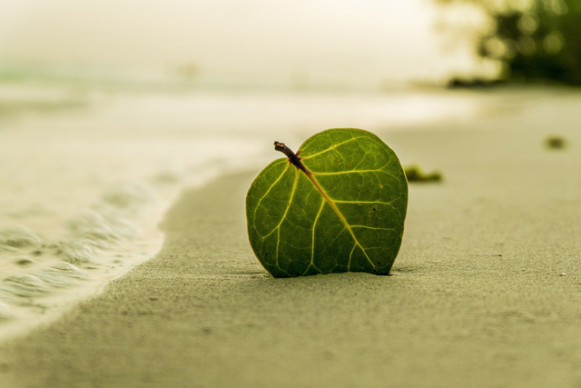 Niat tayamum. Sumber: www.pixabay.com