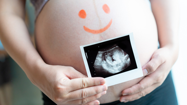 Ilustrasi ibu hamil. Foto: Shutter Stock