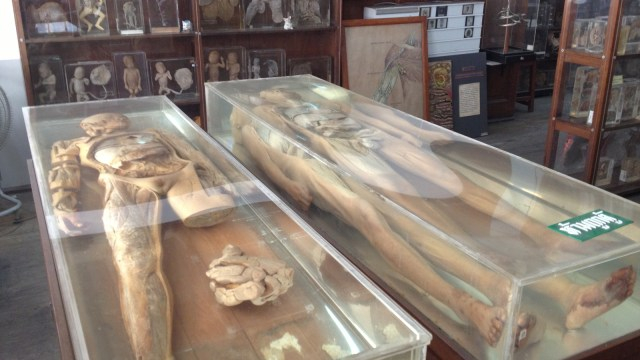 Mengunjungi Museum of Death di Thailand yang Berisi Jenazah Manusia | kumparan.com