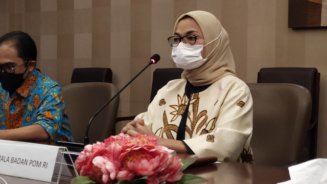 Kepala BPOM Penny K. Lukito. Foto: Rachmadi Rasyad/kumparan