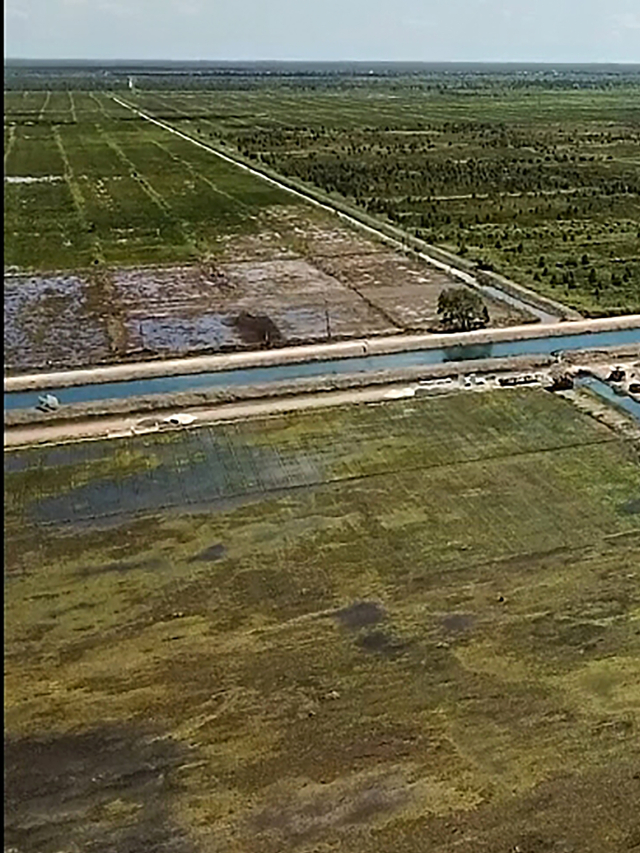 Foto udara jaringan irigasi di kawasan lumbung pangan nasional 'food estate' Dadahup di Kabupaten Kapuas, Desa Bentuk Jaya, Kalimantan Tengah, Rabu (21/4). Foto: Makna Zaezar/Antara Foto
