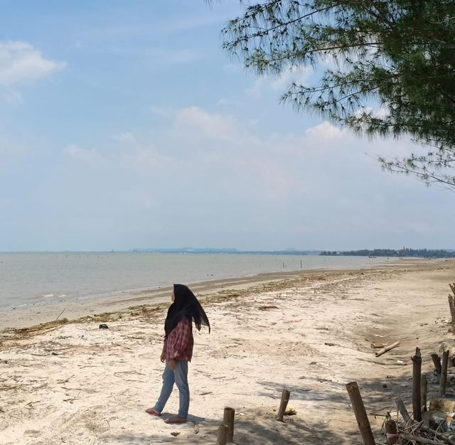Pemandangan Mangrove Centre Tuban, Kabupaten Tuban (Sumber: Dokumentasi Pribadi Penulis)