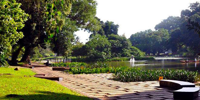 Kolam Gunting Kebun Raya Bogor