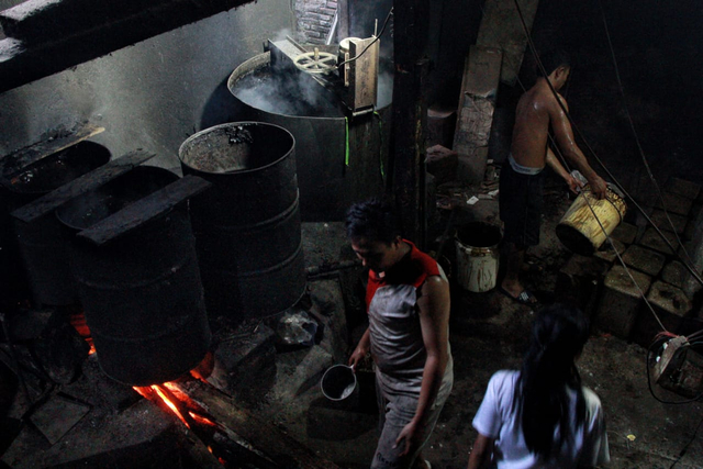 Kesibukan proses produksi cincau. Foto Rubianto