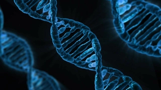 Ilustrasi struktur DNA. Foto: Pixabay