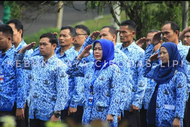 foto: PNS Kebun Raya Cibodas - LIPI (Trisno Utomo)