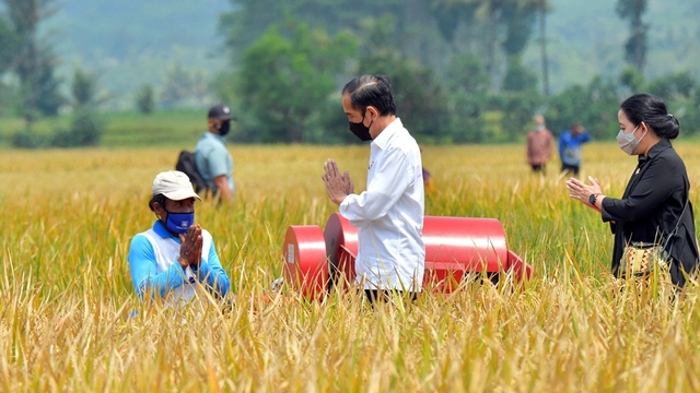Presiden Jokowi meninjau lokasi tanam dan panen di desa Kanigoro, Kec Tumpang, Kab Malang. Kamis (29/4). Foto: Dok. Biro Pers Setpres