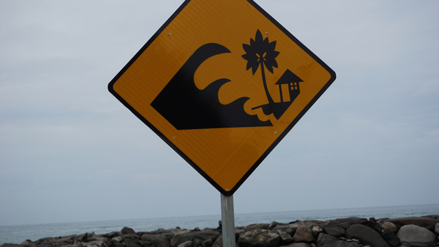 Ilustrasi peringatan Tsunami. Foto: Zabur Karuru/ANTARA FOTO