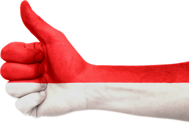 Ilustrasi Hak dan Kewajiban Bela Negara. (Foto: https://pixabay.com)
