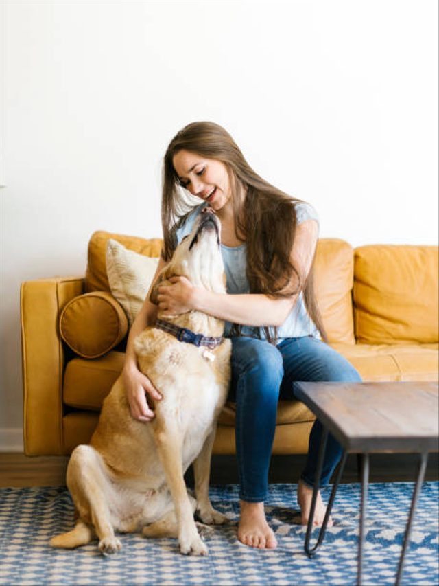 Ilustrasi anjing dan manusia. Foto: Getty Images 