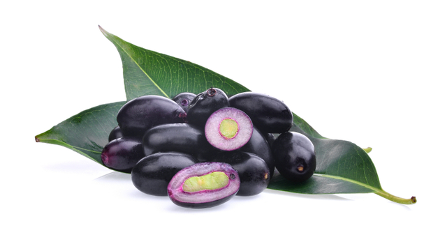 Ilustrasi buah jamblang untuk ibu hamil.
 Foto: Shutterstock