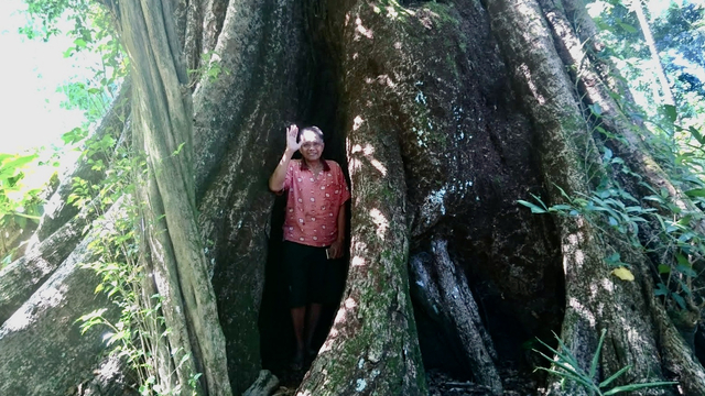 Sesepuh masyarakat Kawdan, Sukardi, di bawah randu alas di desanya. Foto: Widi Erha Pradana