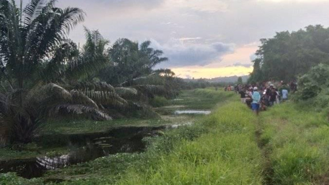Lokasi Kevin diterkam seekor buaya. Foto: Dok. Istimewa