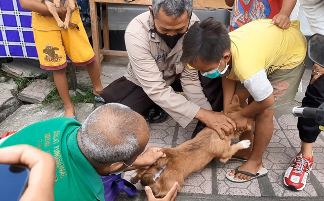 Vaksinasi rabies langsung dilakukan pada hewan piaraan di sekitar lokasi kejadian - IST