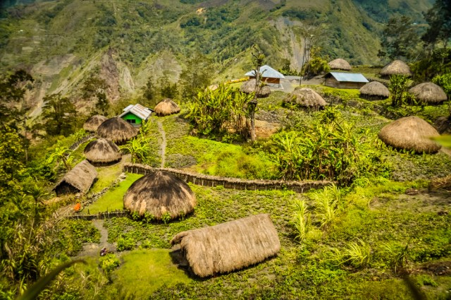 Ilustrasi rumah adat Papua milik suku asli Papua. Sumber: Shutterstock