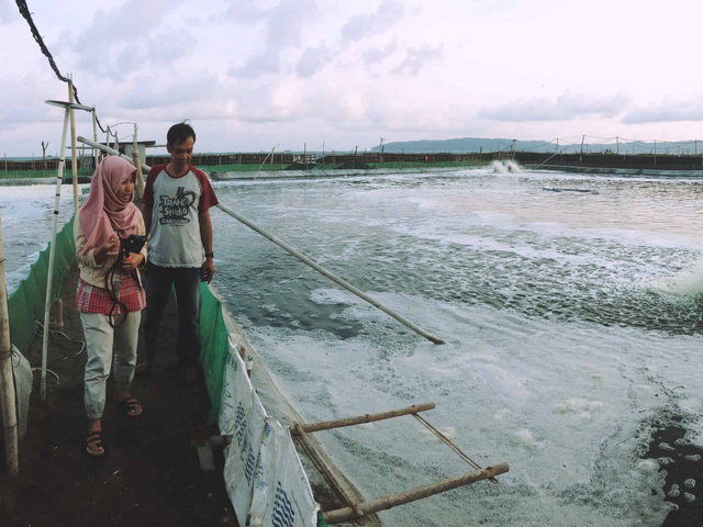 Liris Maduningtyas (kiri) saat mengunjungi tambak udang untuk mengaplikasikan Jala Tech. (Foto: Jala.tech).