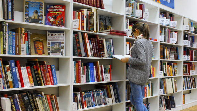 Ilustrasi Gambar Pustakawan. Foto : Web pixabay