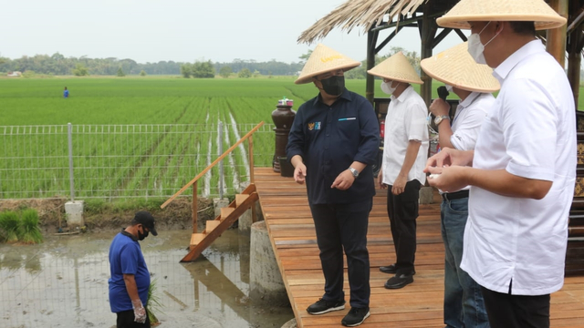 Menteri BUMN Erick Thohir bersama Menteri Perdagangan Muhammad Lutfi, Menteri Koperasi dan UMKM Teten Masduki meninjau Sentra Pengolahan Beras Terpadu (SPBT) di Desa Kaliputih, Kutowinangun, Kebumen, Jawa Tengah, Minggu (23/5). Foto: Kementerian BUMN