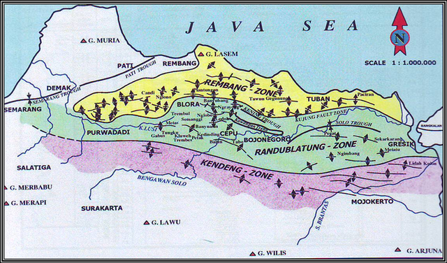 Pola struktur Cekungan Jawa Timur Utara. Sumber: Materi PKL PPSDM MIGAS Cepu