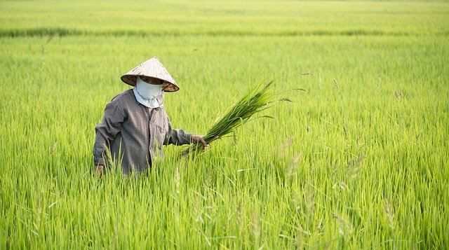 Ilustrasi menghitung weton pekerjaan. Foto: Pixabay