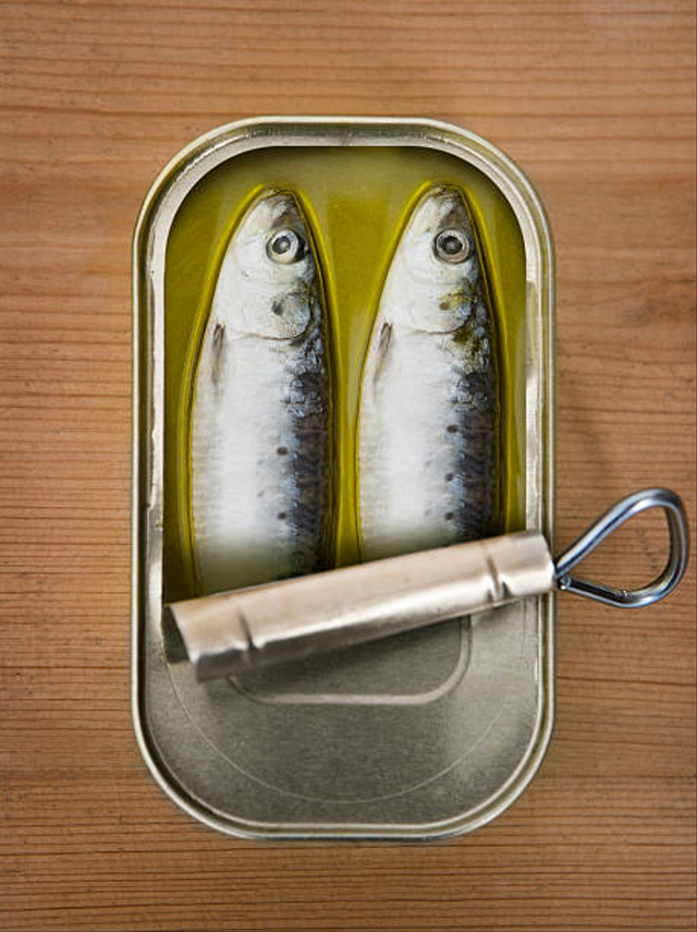 Ilustrasi ikan sarden. Foto: Getty Images 