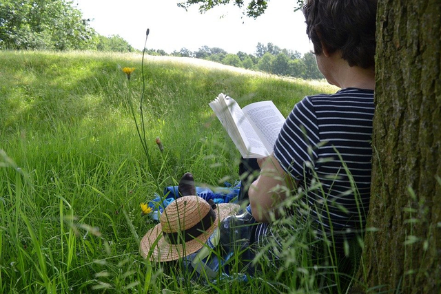 Reading the book (pixabay)