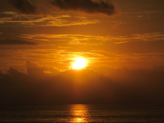 Yalangoch chiroyli terining fotosurati Yalangoch chiroyli terining fotosurati