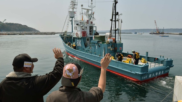 Ilustrasi kapal penangkap ikan paus Jepang. Foto: KAZUHIRO NOGI/AFP