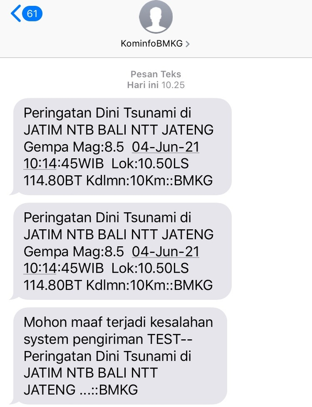 SMS peringatan dini tsunami dari BMKG. Foto: Denita BR Matondang/kumparan