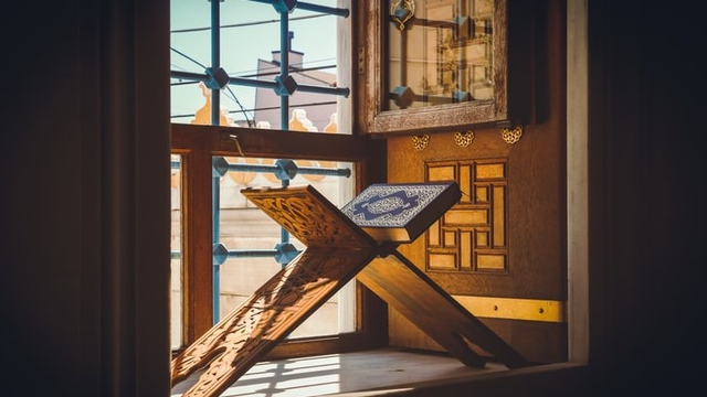 Gambar ilustrasi. Foto: Unsplash/@aniscoquelet