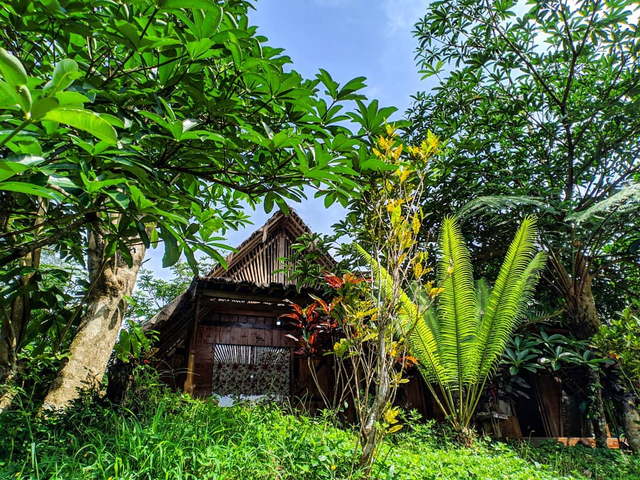 Homestay Rimbono di Kulonprogo Foto: Instagram @rimbono_homestay