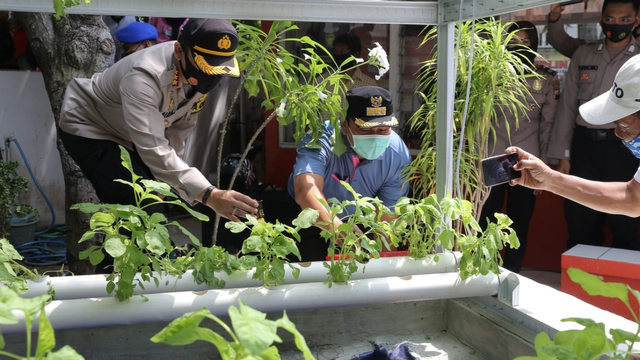 Wali Kota Semarang, Hendrar Prihadi, saat berada pada kegiatan sosialisasi pertanian perkotaan beberapa waktu lalu. Foto: Dok. Pemkot Semarang