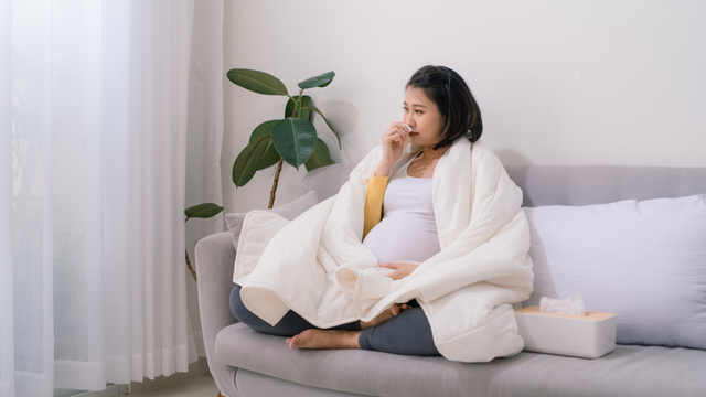 Tips dari Dokter agar Ibu Hamil Tidak Demam saat Mau Melahirkan Foto: Shutter Stock