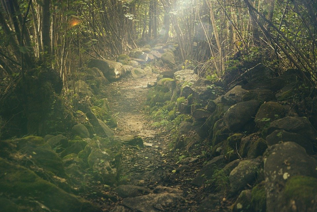 Ilustrasi Siklus Batuan. (Foto: https://pixabay.com)
