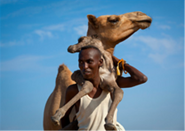 Berusaha dengan dibarengi dengan Tawakal. https://www.flickr.com/