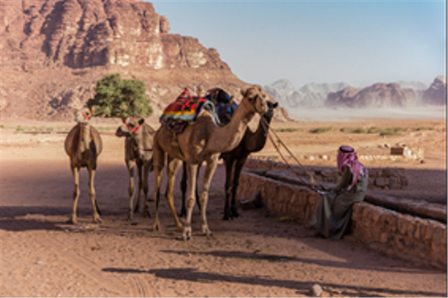 Tawakal merupakan bentuk lemahnya manusia di sisi Allah. https://www.flickr.com/