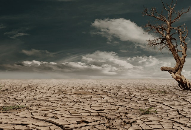 Ilustrasi musim kemarau di Indonesia. Sumber foto : www.pexels.com