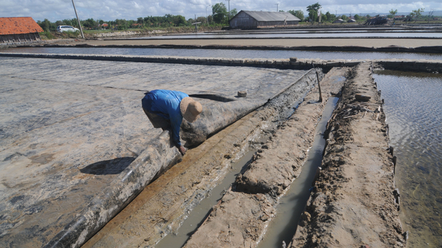 Ilustrasi petani garam. Foto: ANTARA FOTO/Saiful Bahri