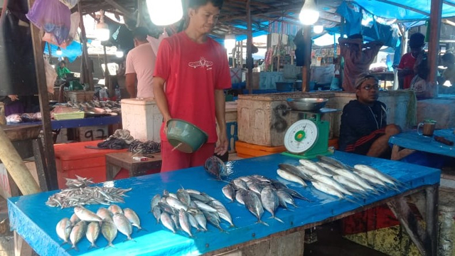 Penjual ikan di Pasar Regional Mamuju. Foto: Awal Dion/SulbarKini