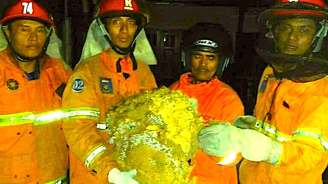 Petugas Damkar Yogya seusai operasi tangkap tawon. Foto: Dokumentasi Damkar Yogya