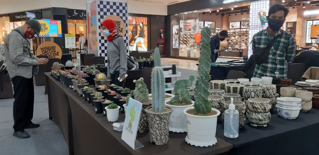 Pameran kaktus dan sukulen di Ambarrukmo Plaza Yogyakarta. Foto: Len/Tugu Jogja