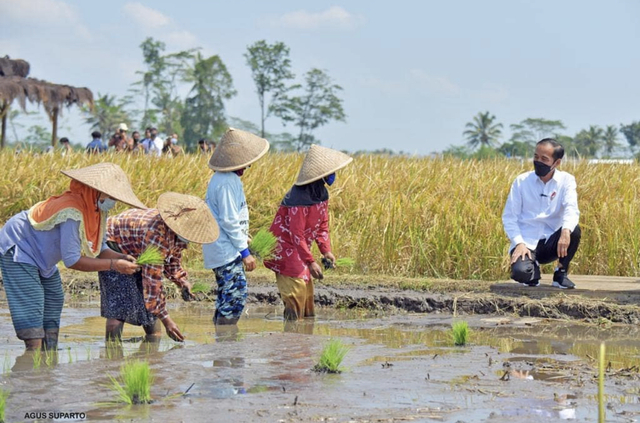 Sumber Foto: instagram.com/jokowi