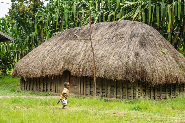 Rumah adat Papua. Sumber: Portal Informasi Indonesia