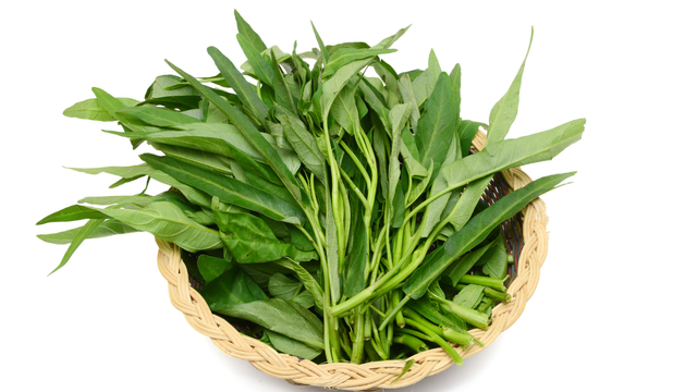 Ilustrasi kangkung untuk makanan atau MPASI bayi. Foto: Shutter Stock