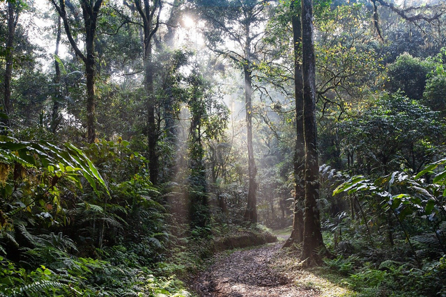 Indonesia dengan Iklim Tropis. Foto: dok. https://pixabay.com/
